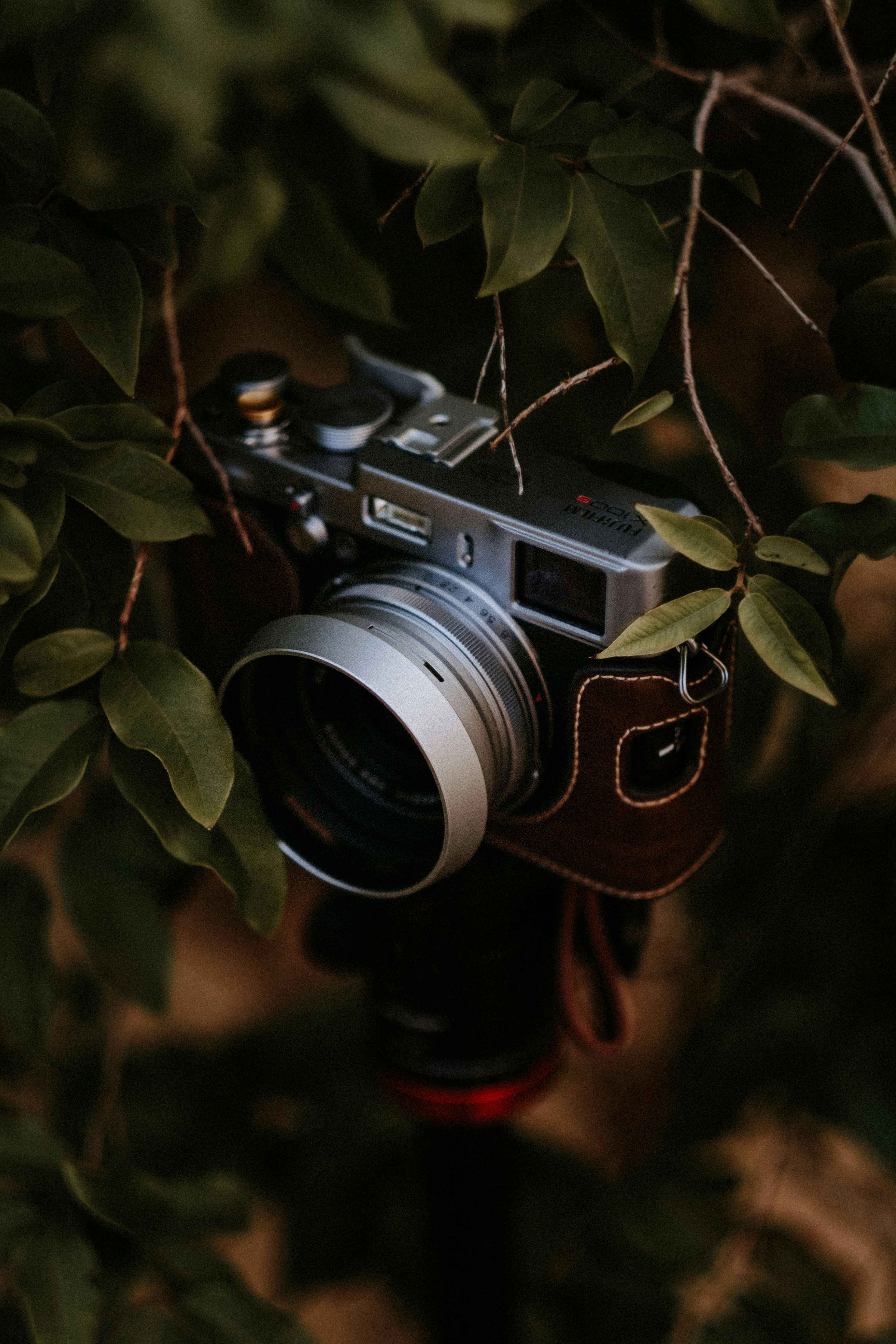 black and silver nikon camera on green leaves